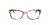 Coach Eyewear