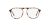 Clearly Edmonton Glasses